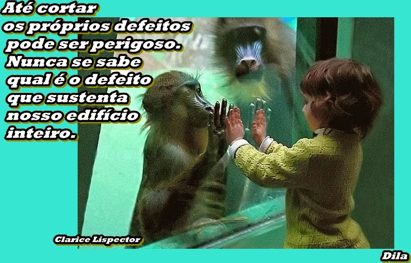 *Na vida tudo tem um sentido!: Nada é por acaso.