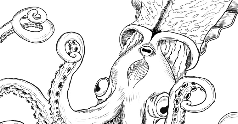 Jake LaGory- illustrator: Cryptozoology Coloring Book- Kraken