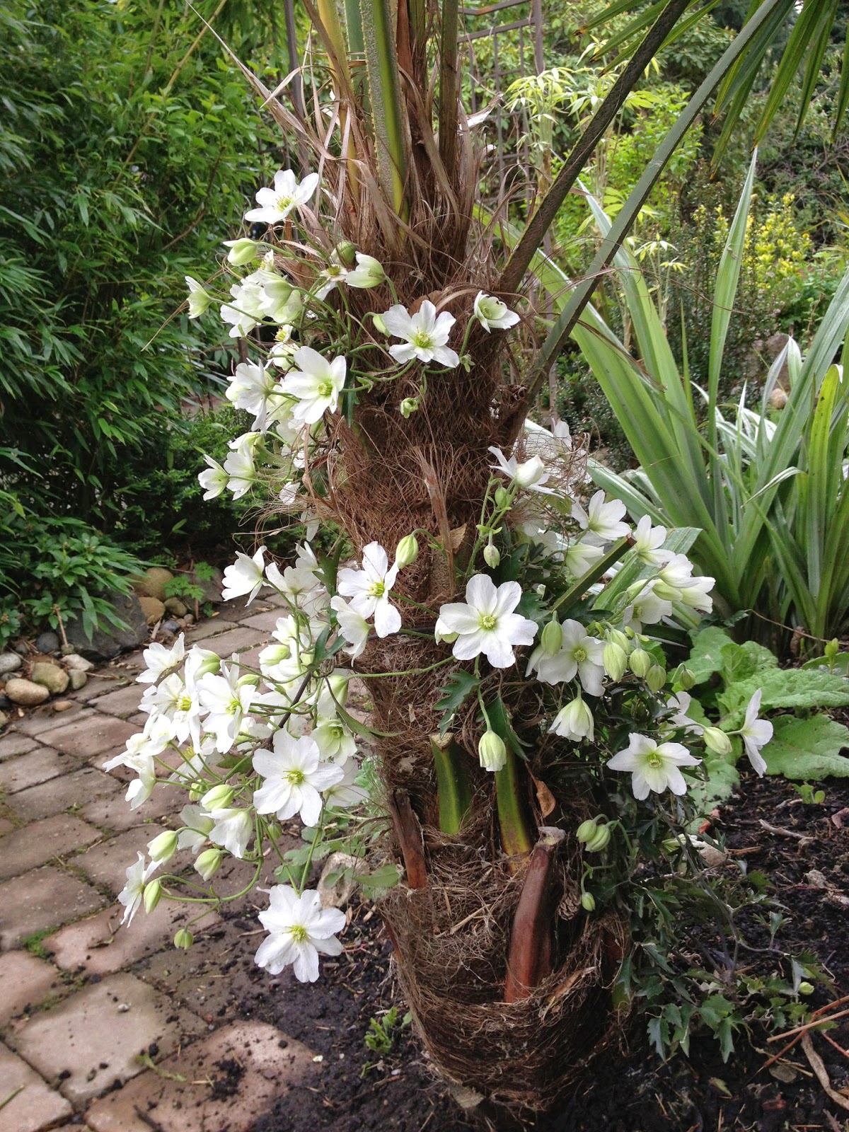 Growing Steady September 2013