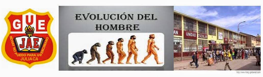 LA EVOLUCION DEL HOMBRE