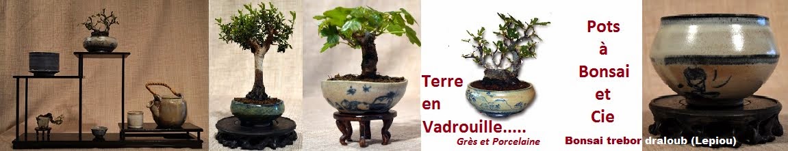 Terre en vadrouille.....