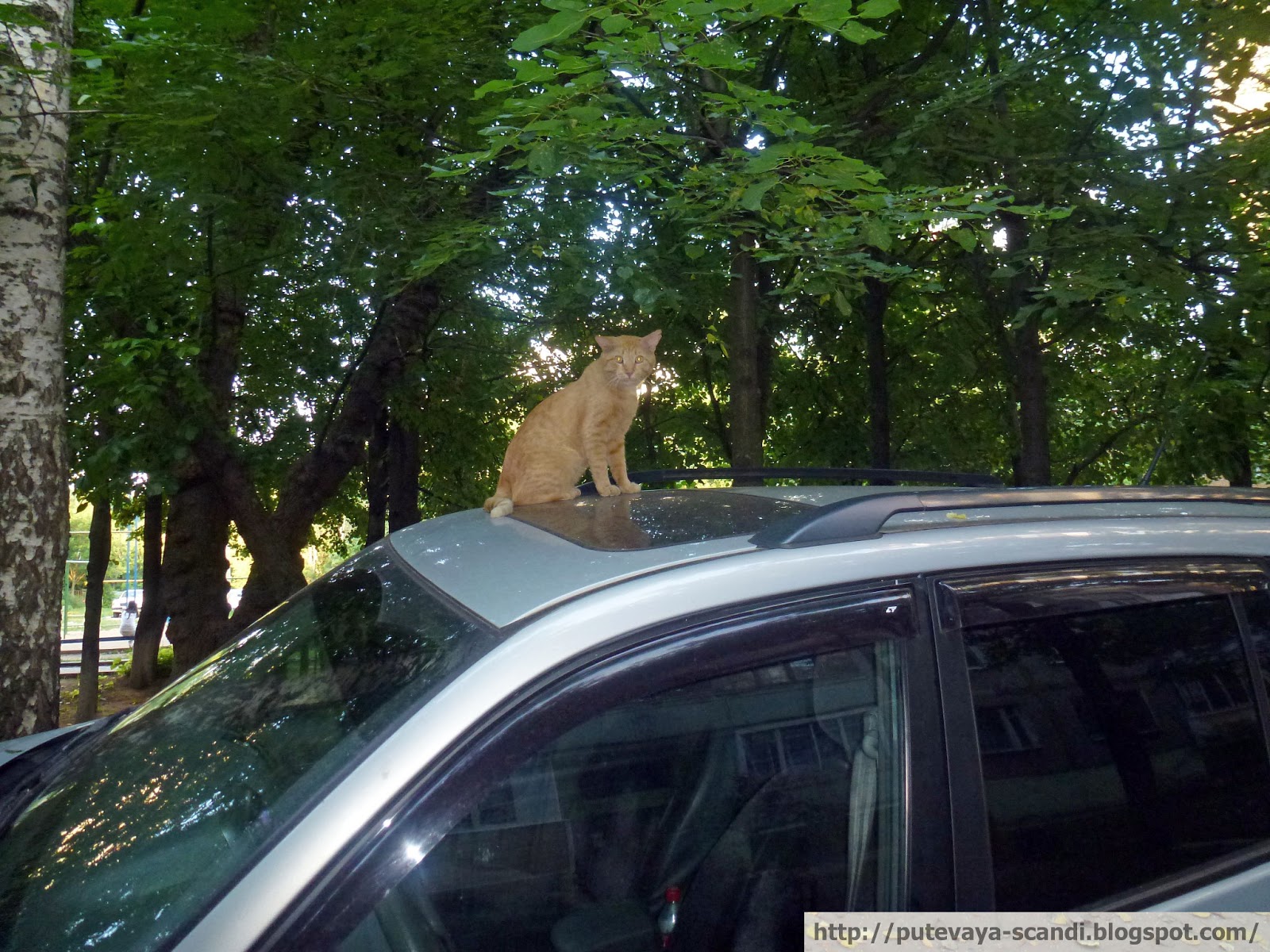 что-то водитель задерживается