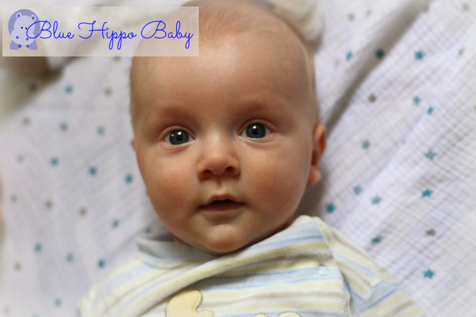 Blue Hippo Baby How to make a vintage baby photo in three simple steps