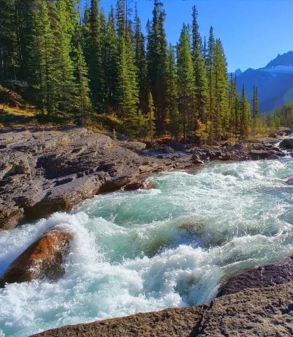 Mistaya Canyon, Banff National Park, Alberta.