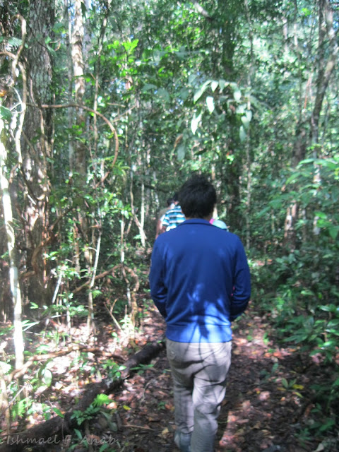 People walking inside the forest of Phukhieo Wildlife Sanctuary