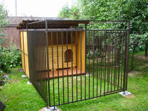 DOG FENCE