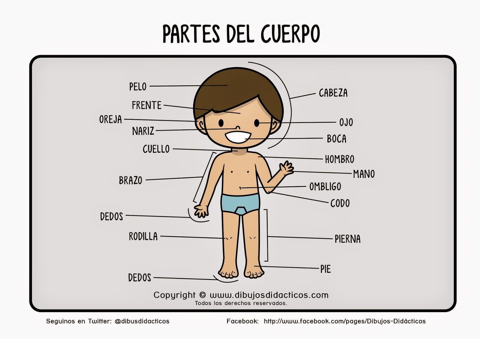 Un Cuerpo Humano Con Sus Partes En Frances