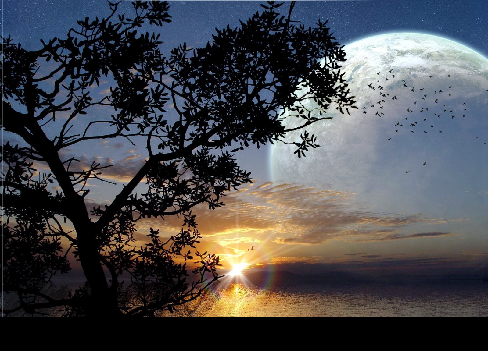 Simbología del Sol y la Luna - Guerrero Espiritual