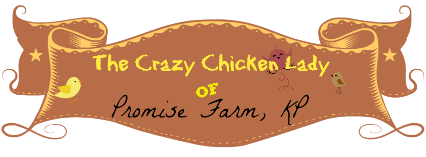 The Crazy Chicken Lady of Promise Farm, KP