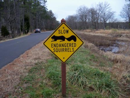 Sign at Blackwater National Wildlife Refuge, protecting squirrels