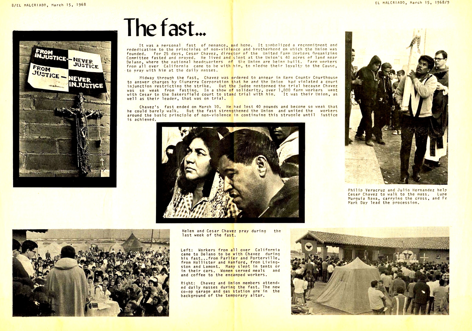 cesar chavez essay driving cesar