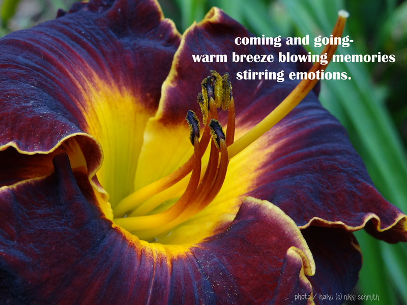 Definition Of Emotion And Its Components And Types Social Work