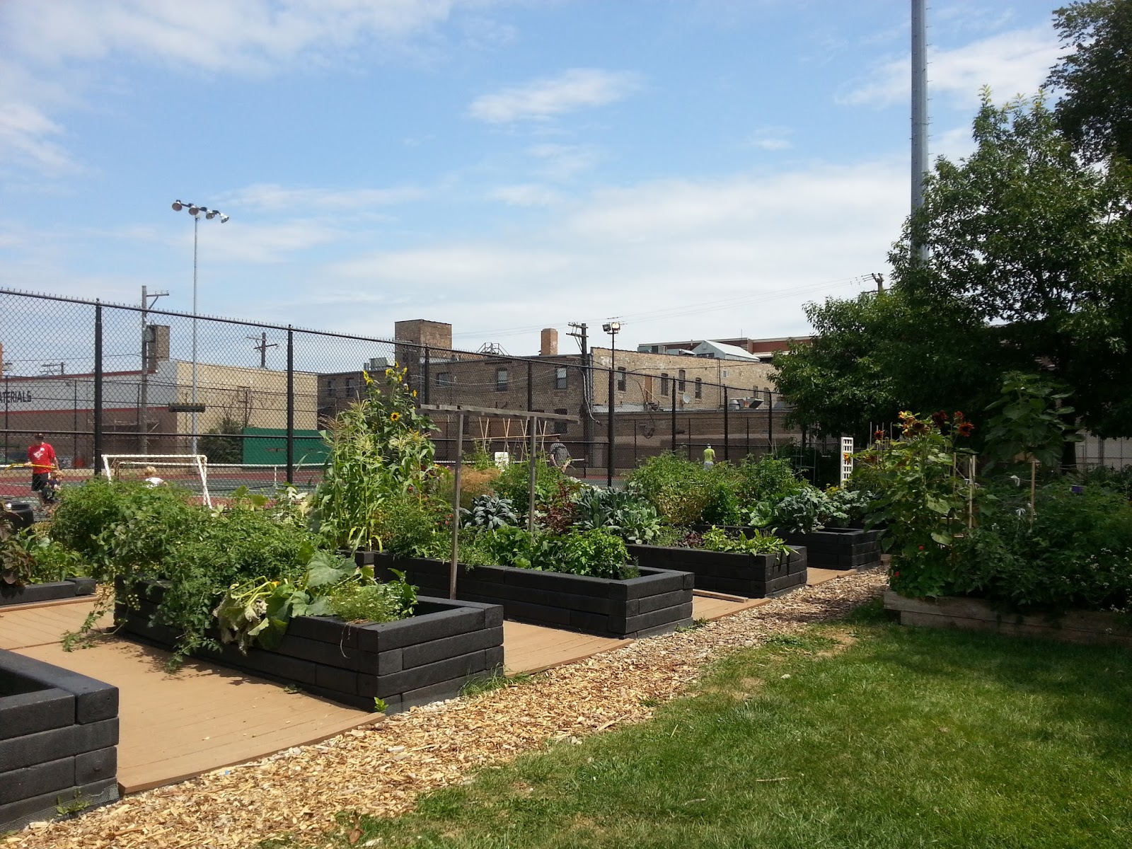 The Chicago Real Estate Local Ravenswood Community Gardens Add