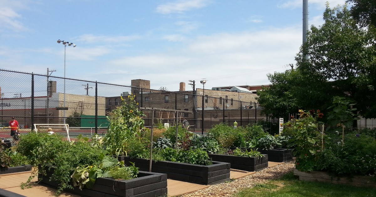The Chicago Real Estate Local Ravenswood community gardens add