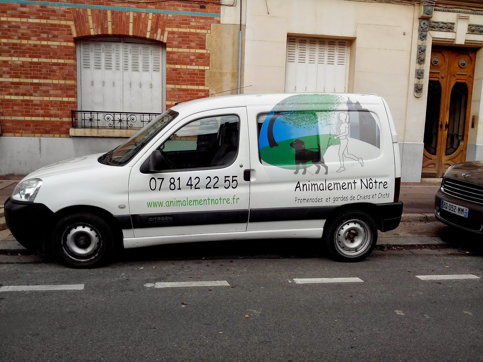 chat rueil malmaison