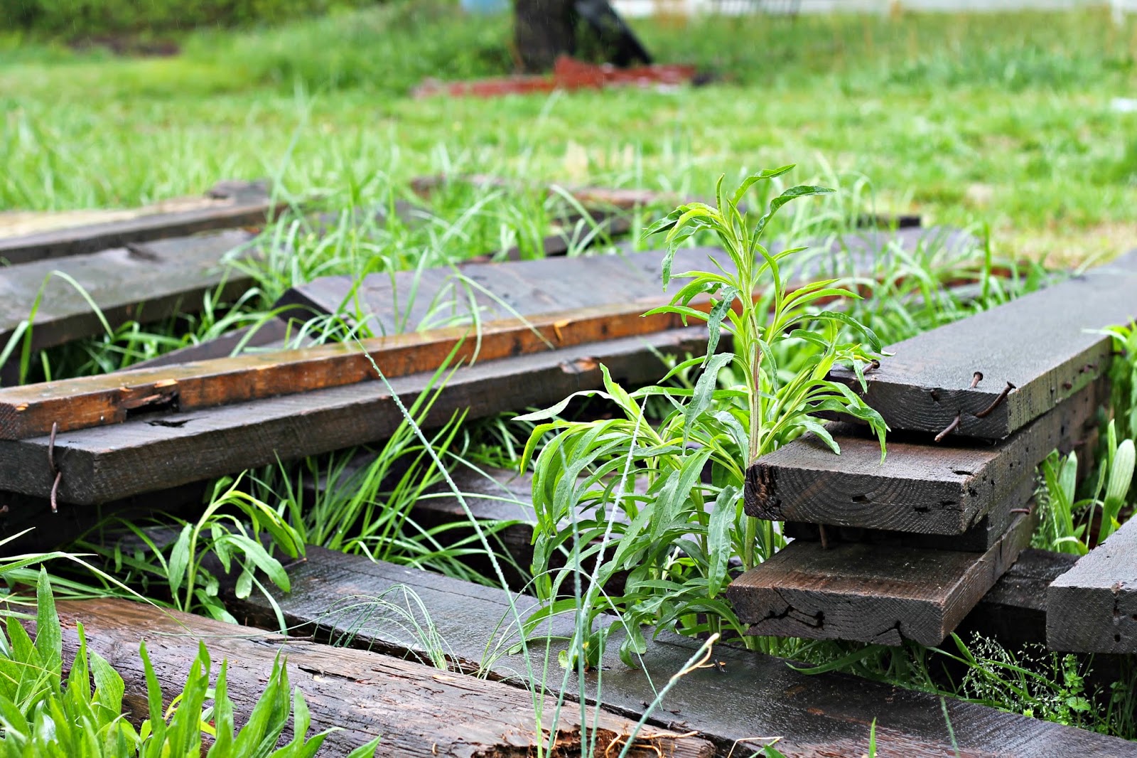 LAURA COX Old House Salvage