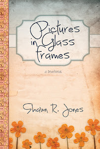 Pictures In Glass Frames By Shawn R. Jones