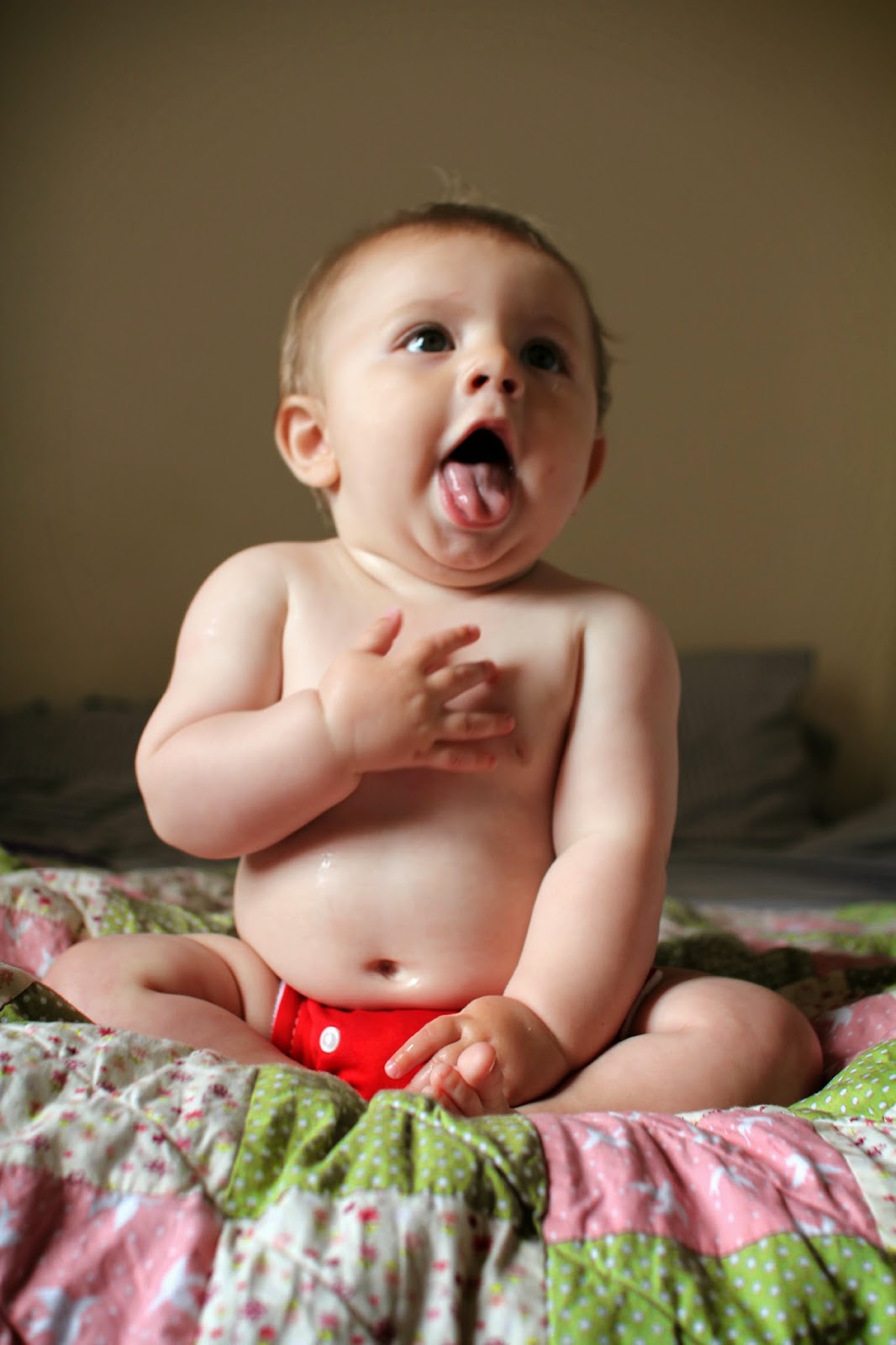 Motion And Emotion Shutterbug Daylily Blog A Girl And Her