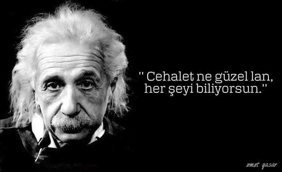 einstein.jpg