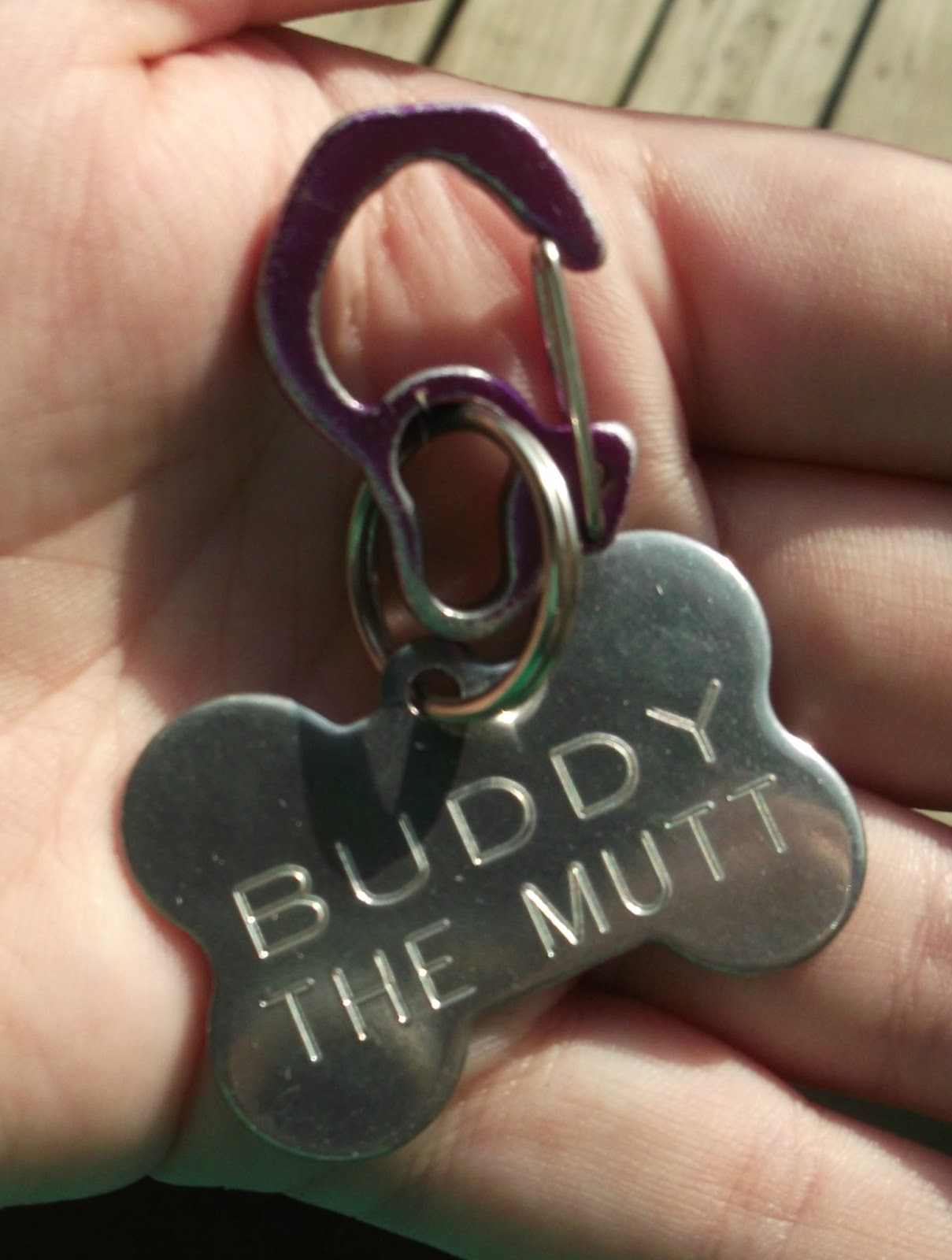 Buddy the Mutt Boomerang Pet Tags Review