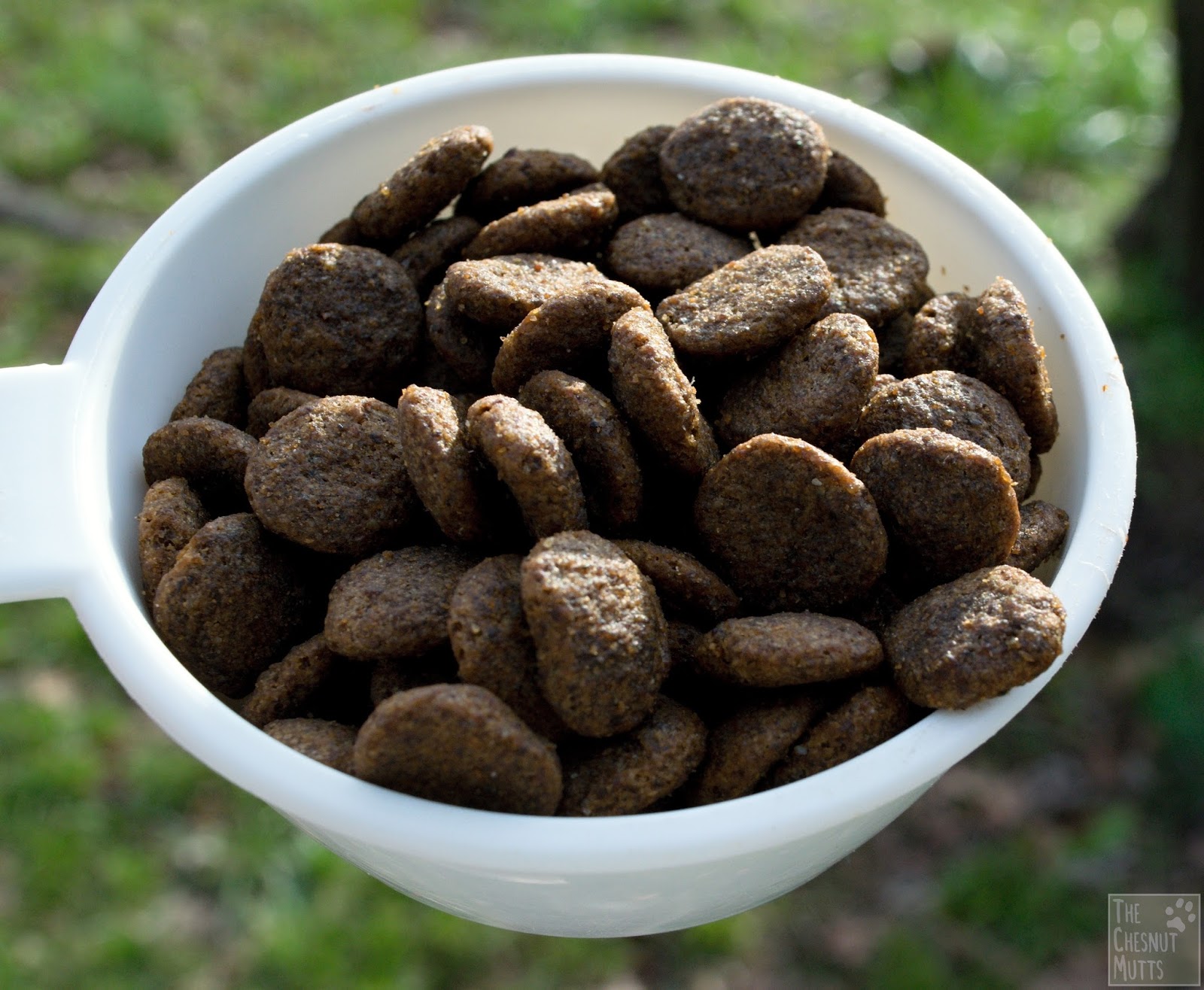 Brand Spotlight Keeping your Pet AllergyFree With NaturalBalance L.I