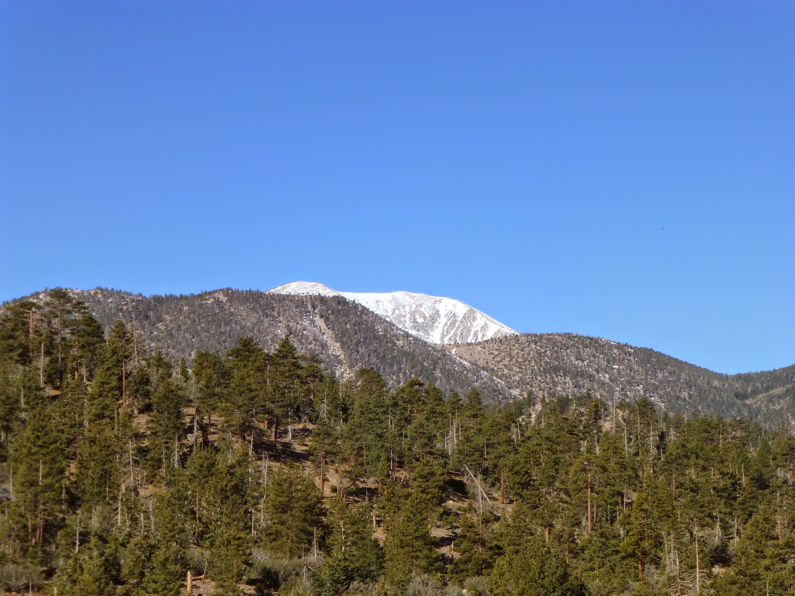 I think this is San Gorgonio, peaking out over there