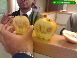 written on an apple