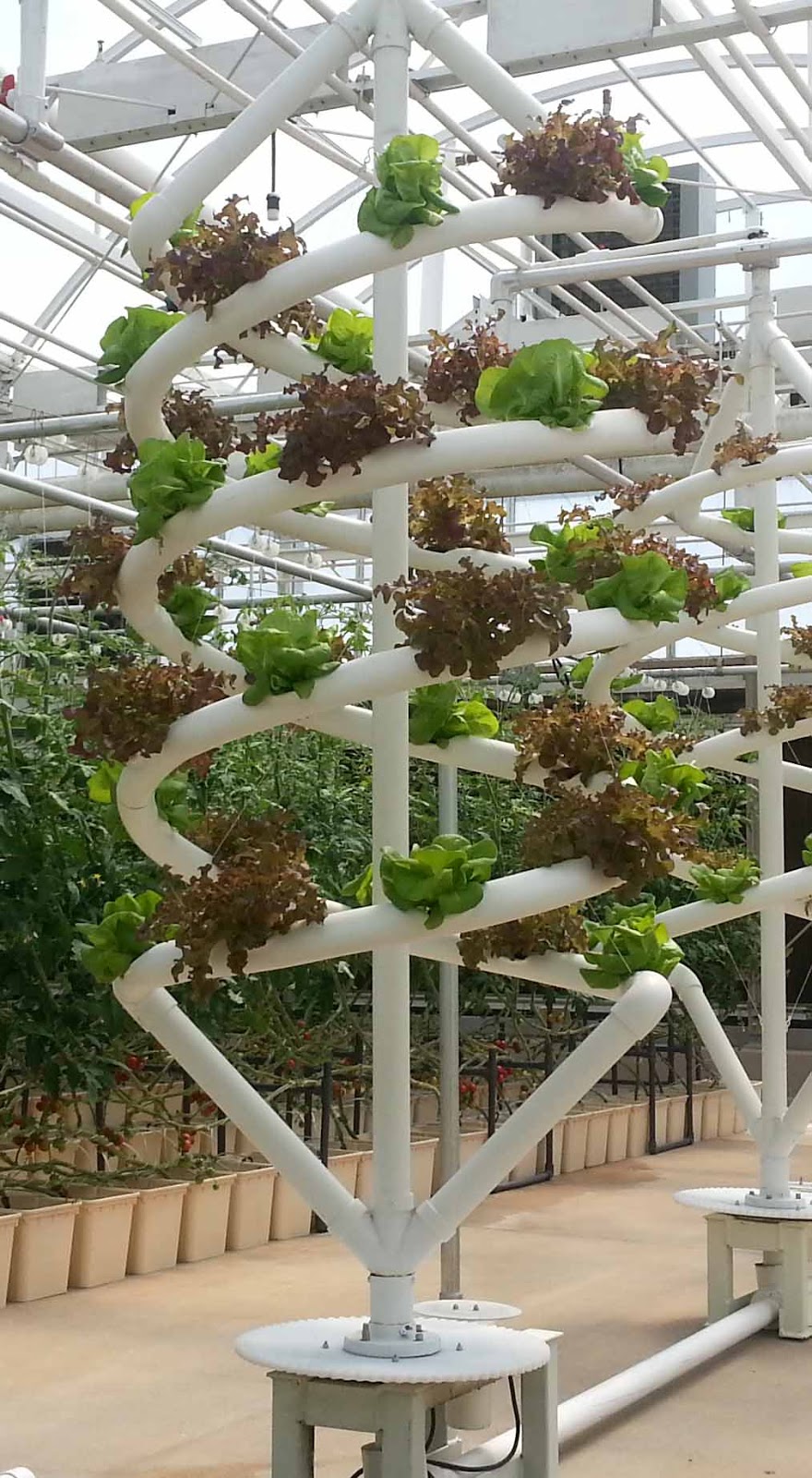 The Gardening Me There's No Place Like Home