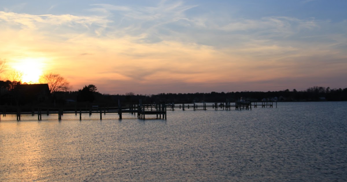 Swim, Eat, Repeat: Light during Sunset