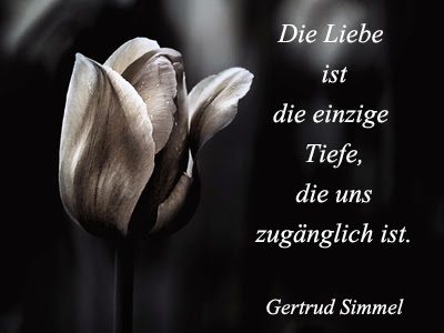 Spruche Zum Nachdenken Leadiaha