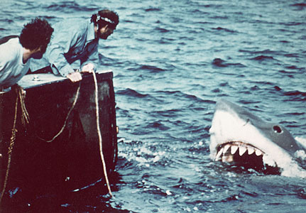 Observatory Brooklyn Twitter