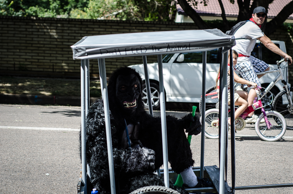 Gorilla in cage Gorilla at tour de fat