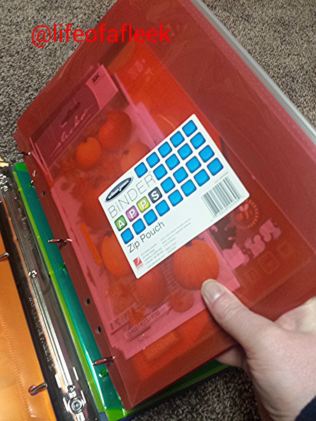 Life of a Fleek Sticker Binder