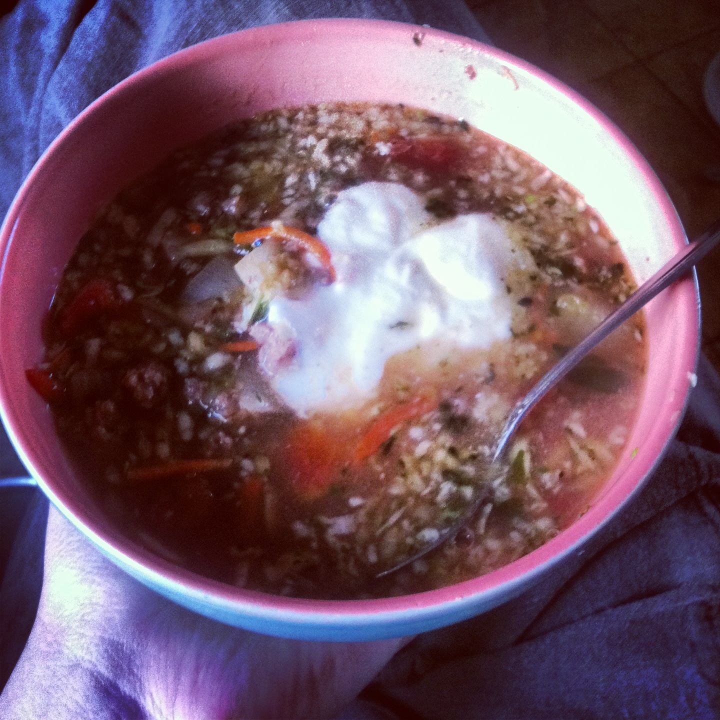 Blossoms and bundles Ground Beef and Sauerkraut soup