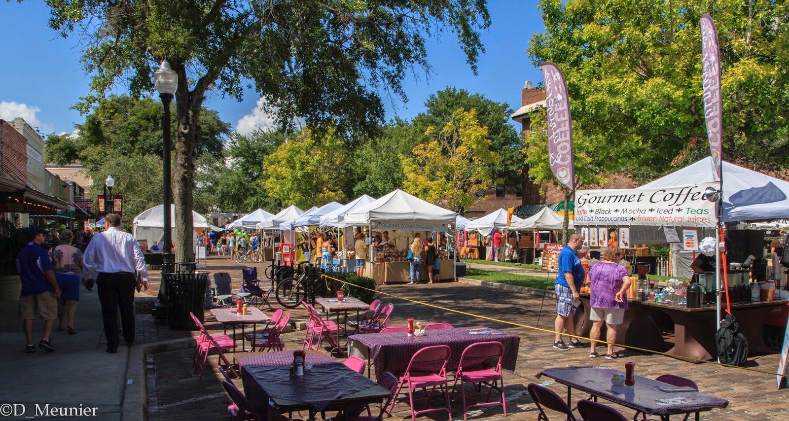 The View From Stormy Hill Winter Garden Music Fest First Day