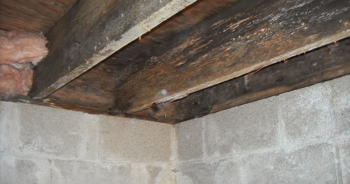 Indiana Crawlspace Repair and Waterproofing Floor Joist Repair Indiana