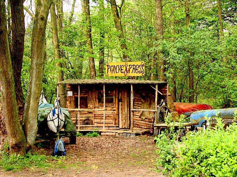 Margarita K Malerei Grafik Design Oktober 2014