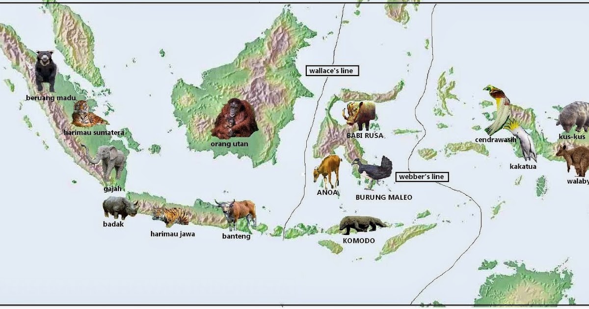 Persebaran dan Pembagian Fauna di Indonesia PANJUL's