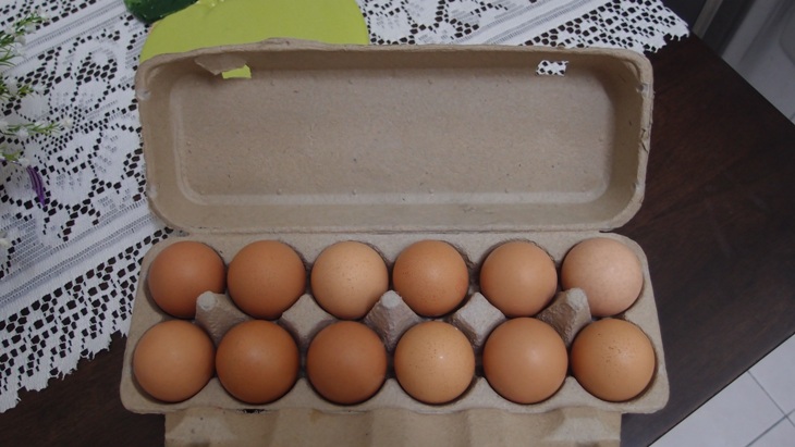 Xing Fu: CREATIVE WAY OF RECYCLING EGG CARTONS