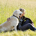Marley & Me