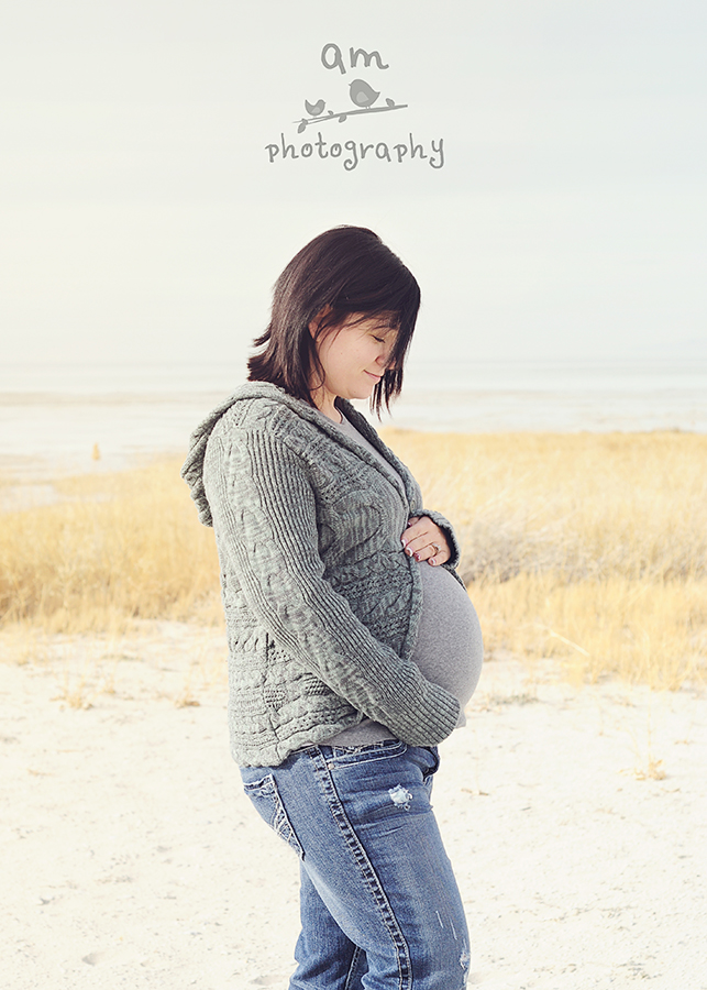 Britny Utah Maternity Photography AM Photography