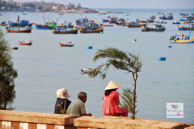 Cảng cá Mũi Né một ngày nắng đẹp