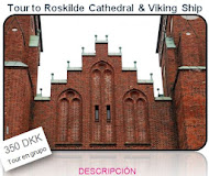 Tour to Roskilde Cathedral & Viking Ship