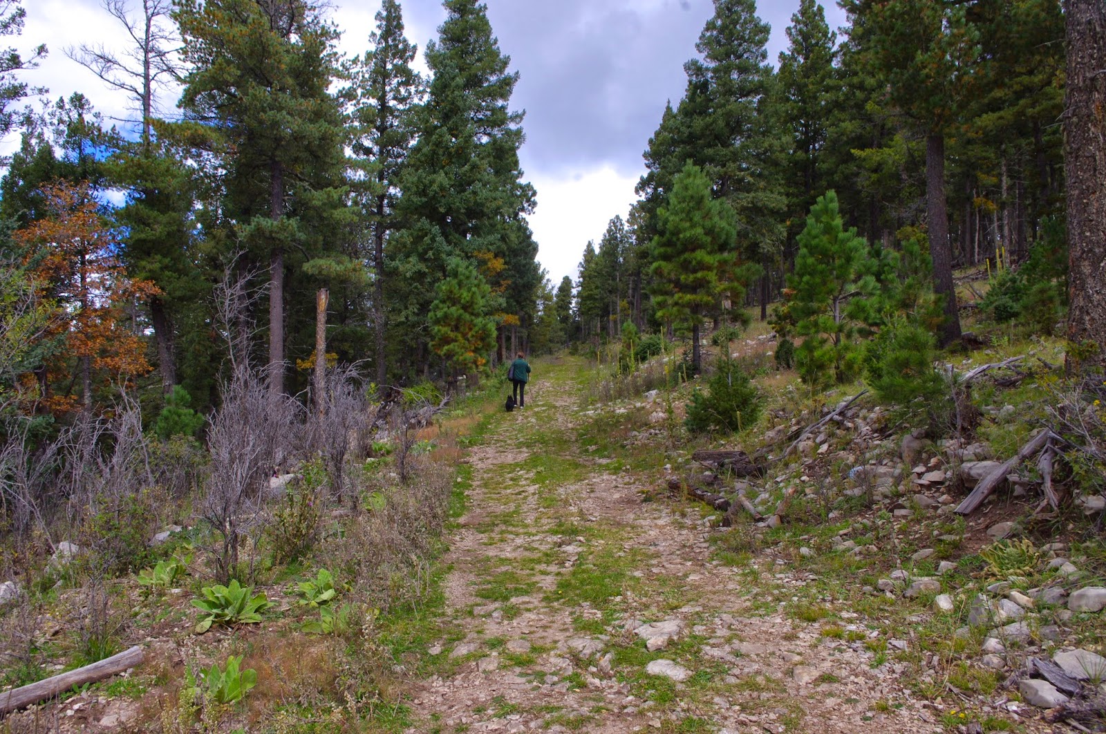 Southern New Mexico Explorer October 2014