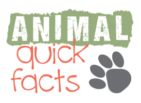 Animal Quick Facts Blog