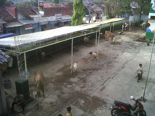 Qurban Yamsik - Happy Eid Al-Adha 1432 H