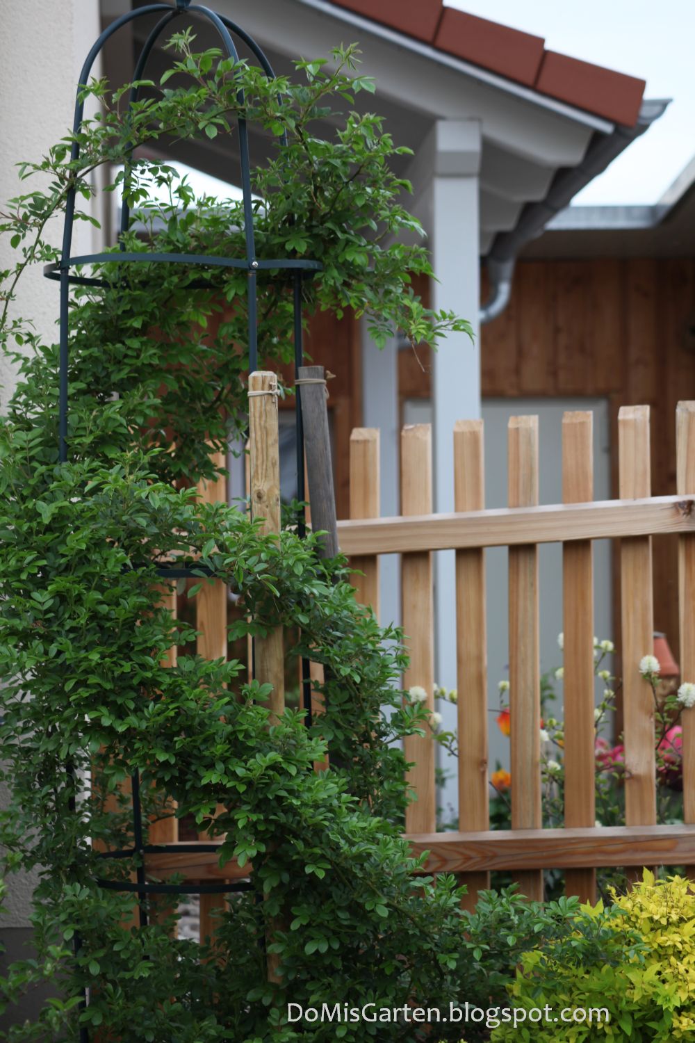 Allendorf Blog August 2014