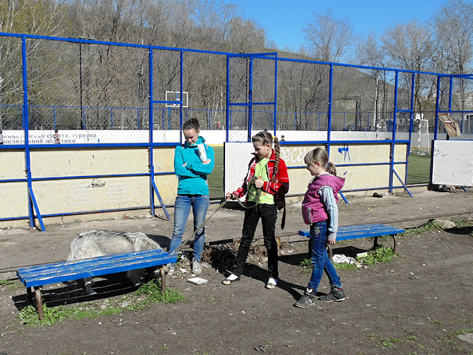 Учитель и ученицы