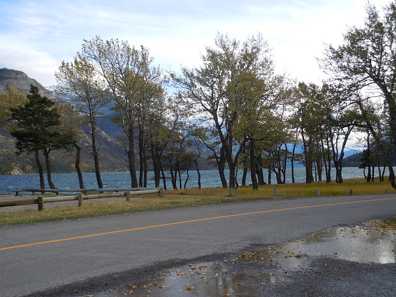 LIVING THE GARDENING LIFE Waterton Lakes National Park in October