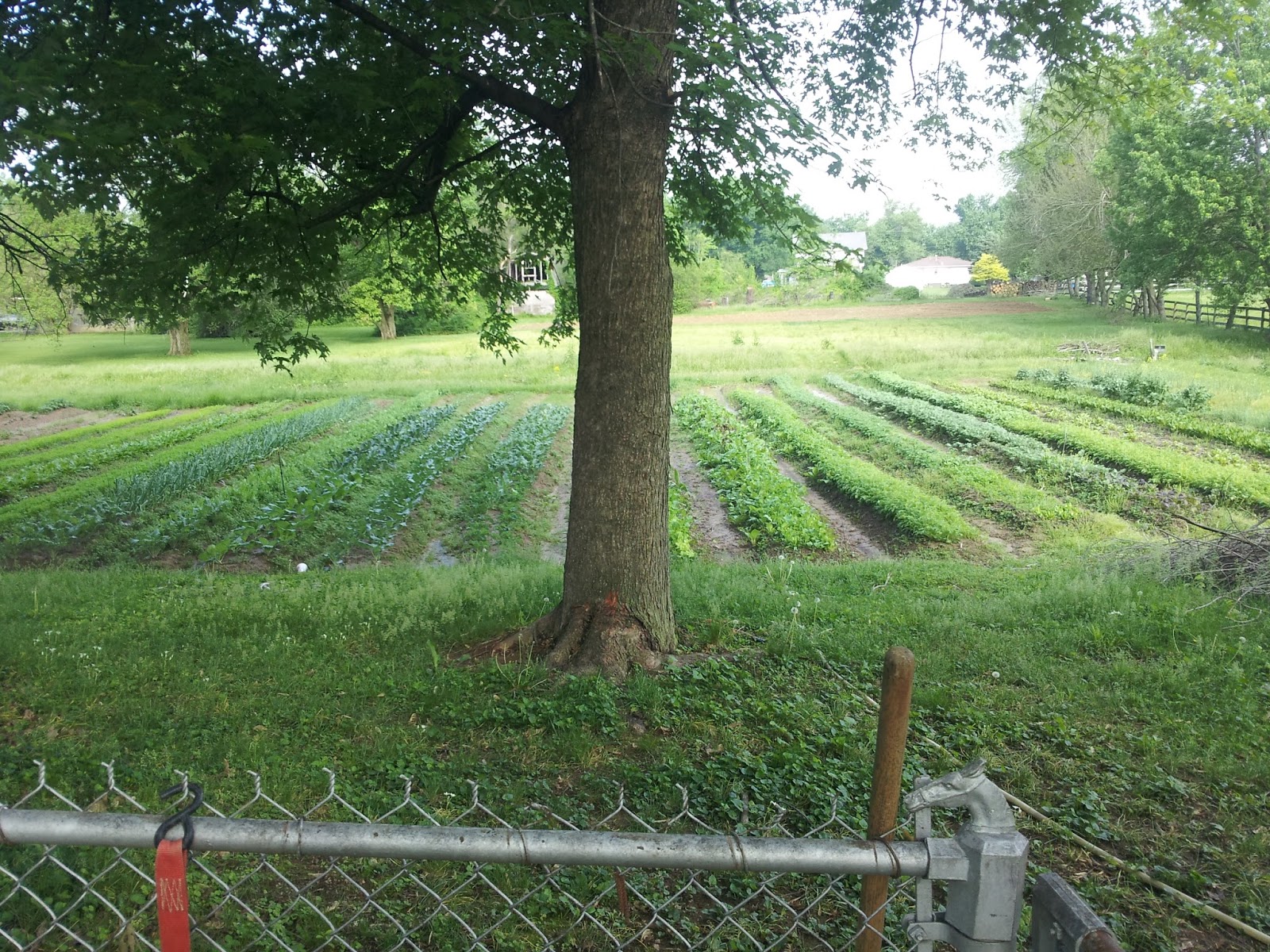 Marvin's Garden Produce About Mike